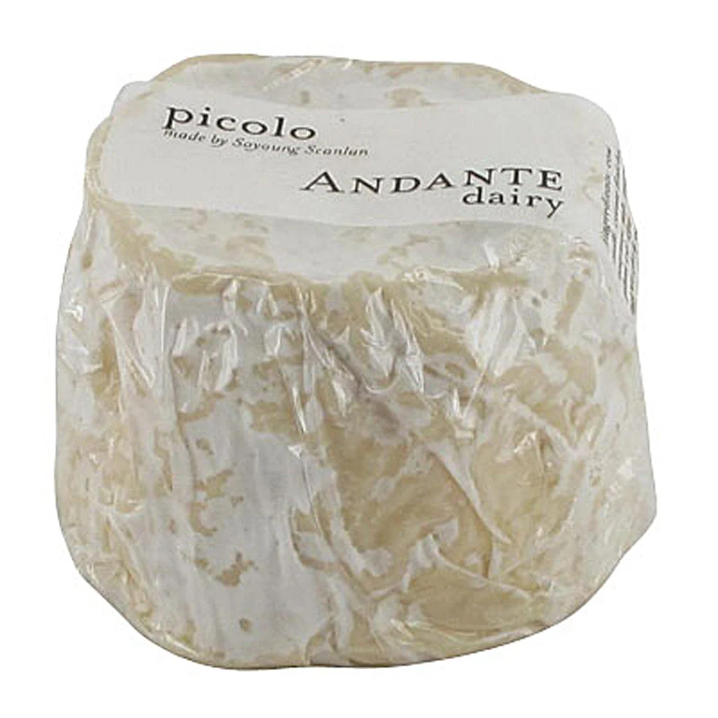 Andante Dairy Picolo