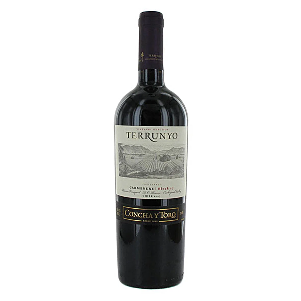 2007 Concha Y Toro Terrunyo 750mL