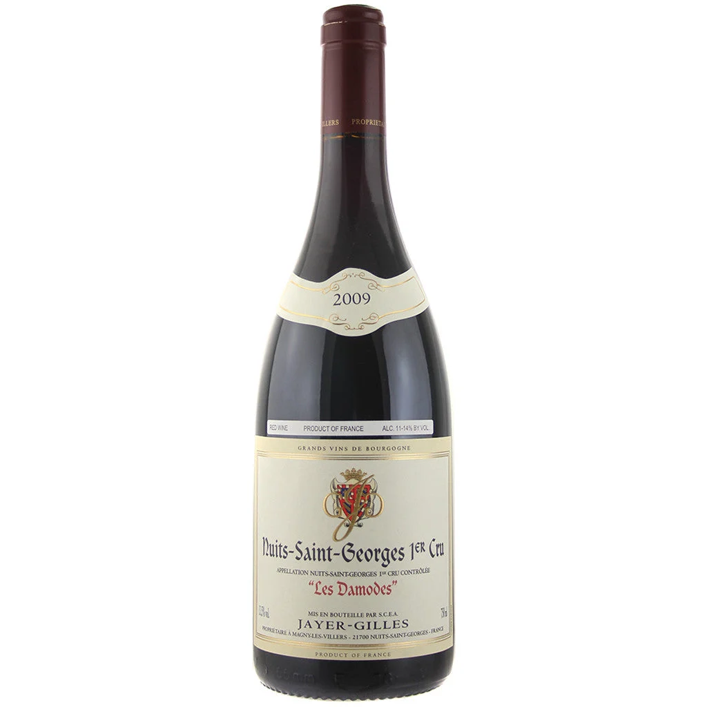 2009 Jayer Gilles Nuits St Georges Les Damodes 750mL