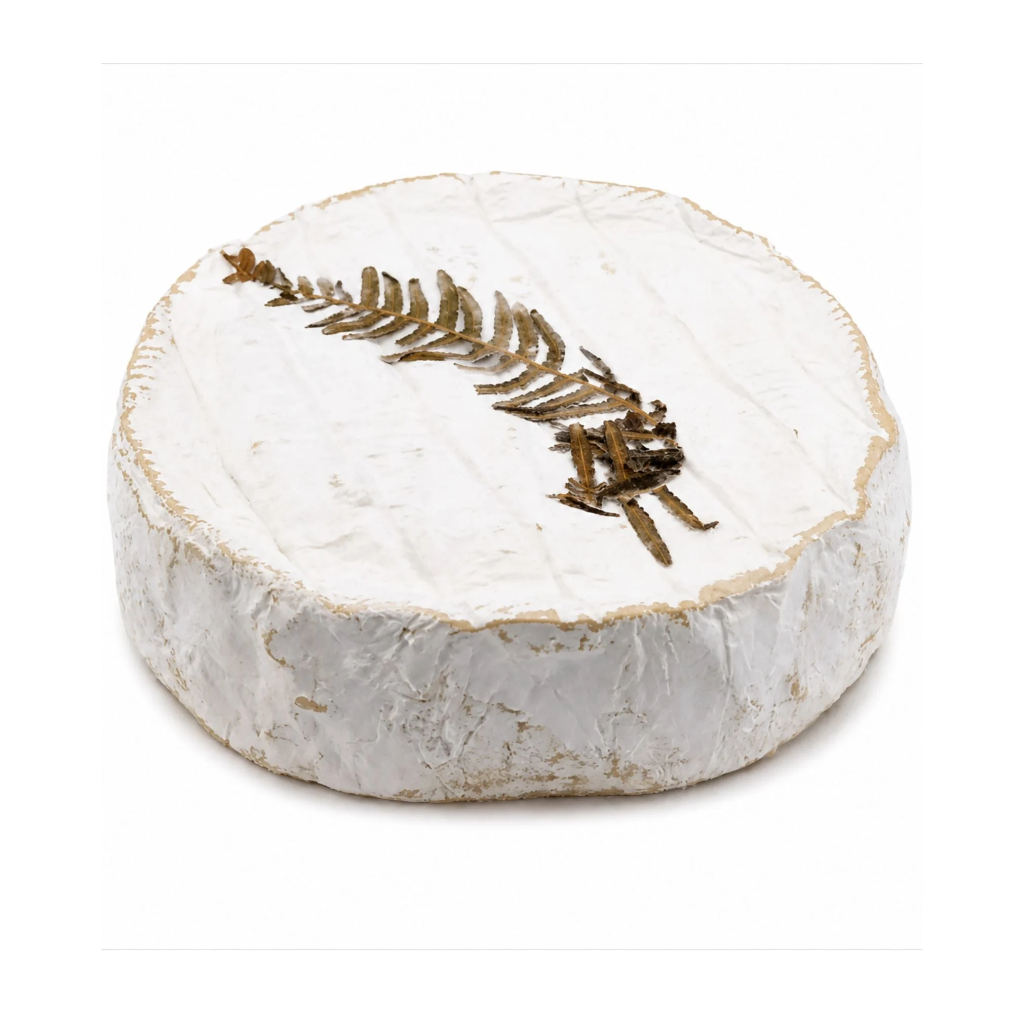Fougerus Brie Rouzaire