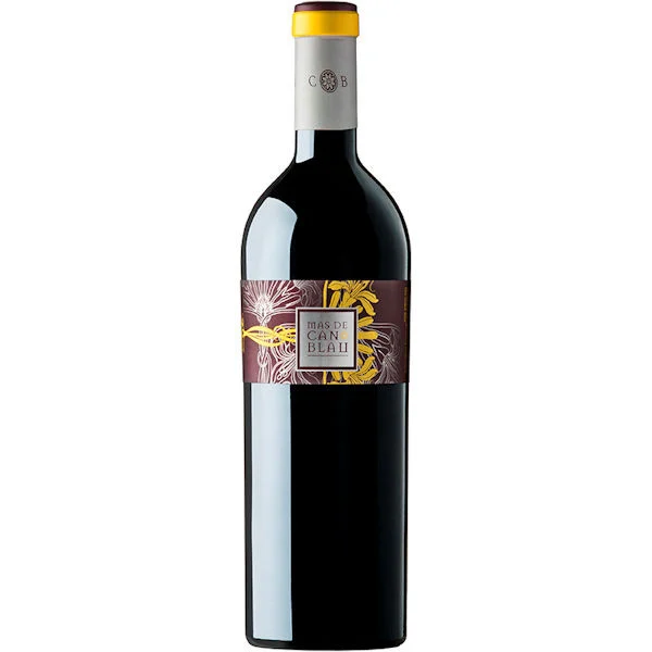 Celler Can Blau Mas de Can Blau Montsant Red 2017 (Spain) Rated 91VM