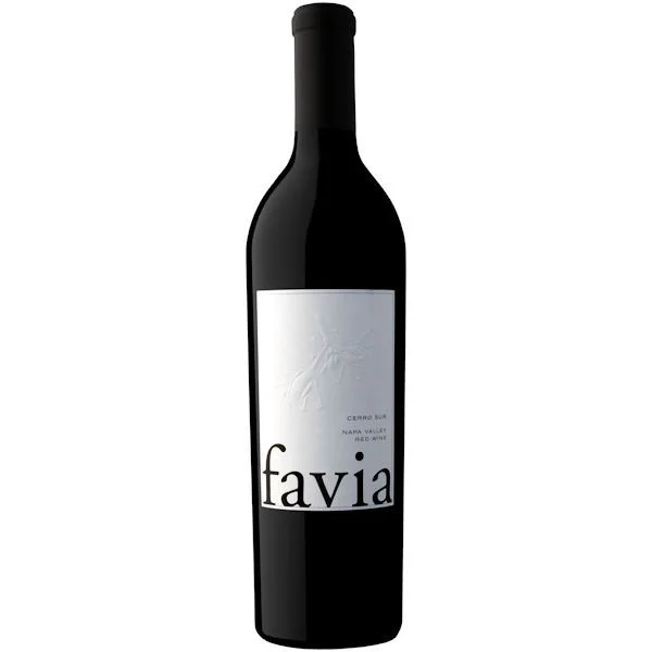 Favia Cerro Sur Napa Red Wine 2019 Rated 100DM