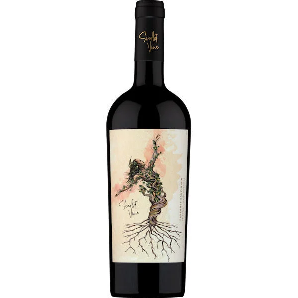 12 Bottle Case Scarlet Vine Selected Hillside Vineyards Valle de Maipo Cabernet 2019 (Chile) w/ Shipping Included