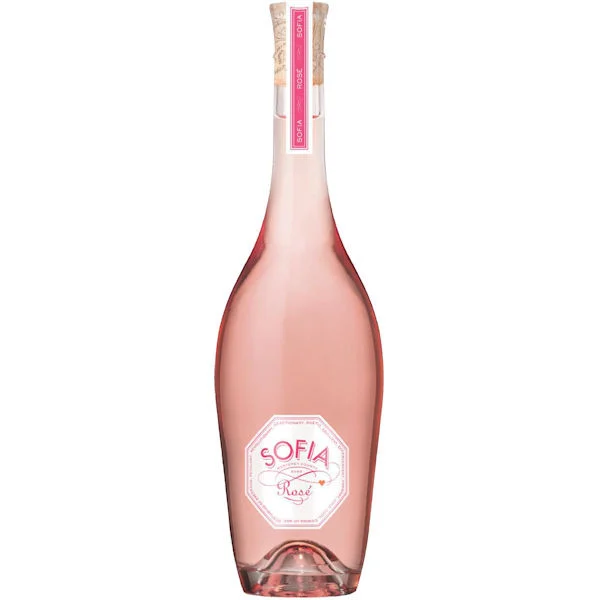 Sofia by Coppola Monterey Rose 2024